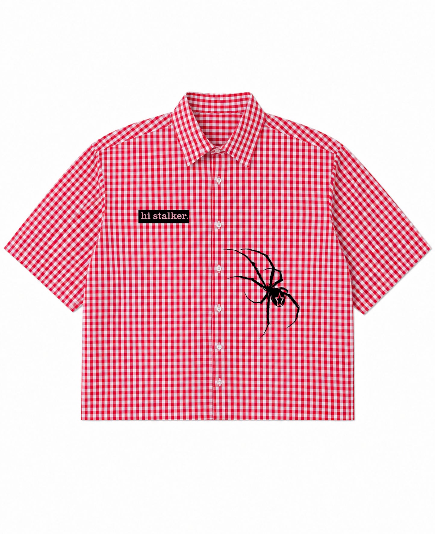 Red Picnic Oxford Boxy Shirt Front Design