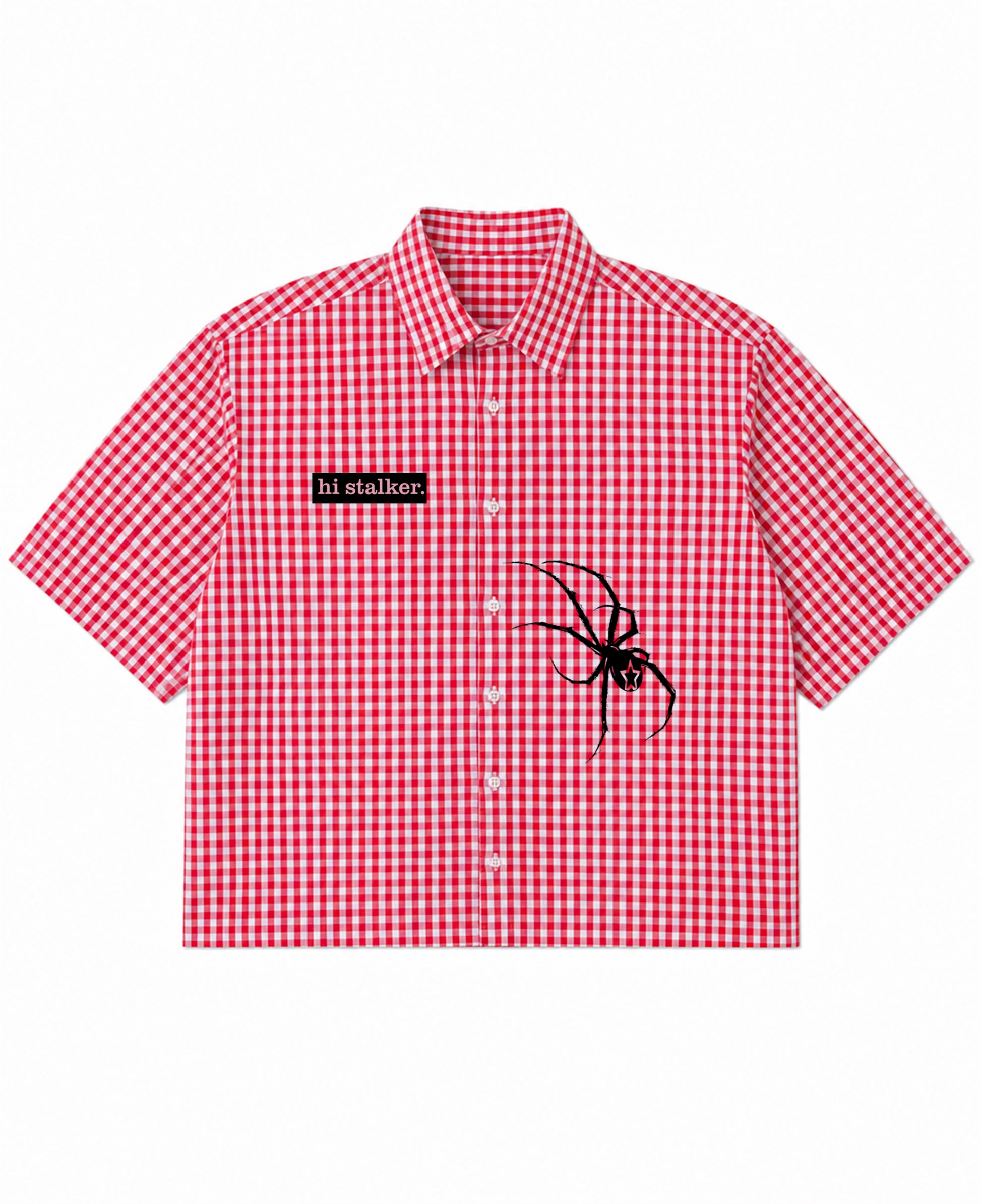 Red Picnic Oxford Boxy Shirt Front Design
